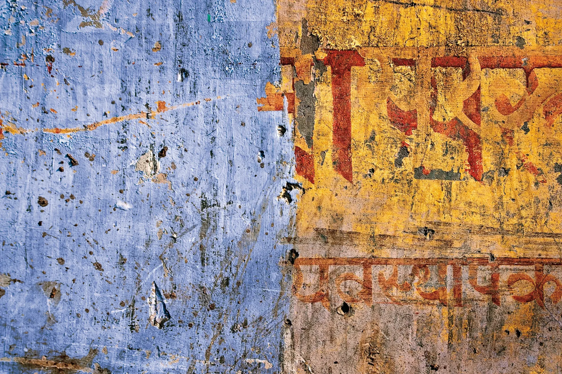tree-wood-texture-trunk-wall-travel-834454-pxhere.com